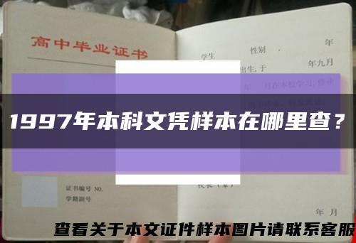 1997年本科文憑樣本在哪里查？縮略圖