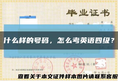 什么樣的號碼，怎么考英語四級？縮略圖