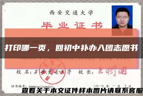 打印哪一頁，回初中補辦入團志愿書縮略圖
