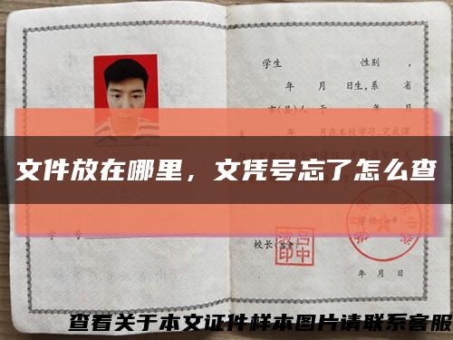 文件放在哪里，文憑號忘了怎么查縮略圖