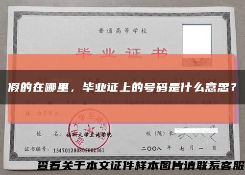 假的在哪里，畢業證上的號碼是什么意思？縮略圖