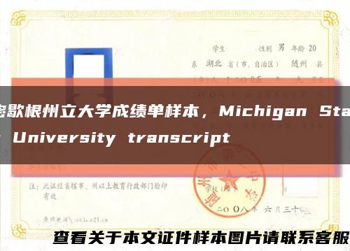 密歇根州立大學成績單樣本，Michigan State University transcript縮略圖