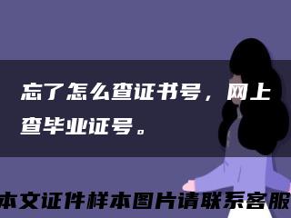 忘了怎么查證書號，網上查畢業證號?？s略圖
