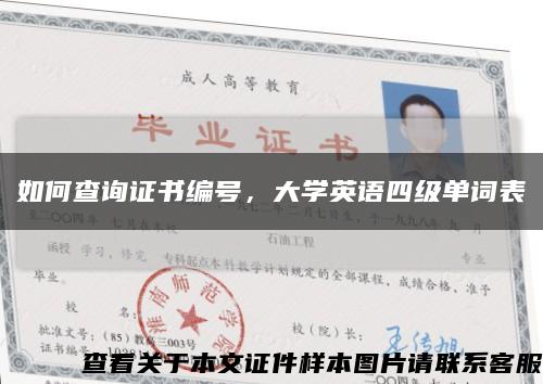 如何查詢證書編號，大學英語四級單詞表縮略圖
