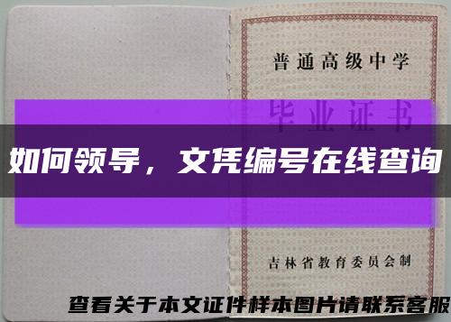 如何領導，文憑編號在線查詢縮略圖