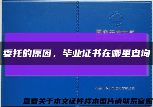 委托的原因，畢業證書在哪里查詢縮略圖