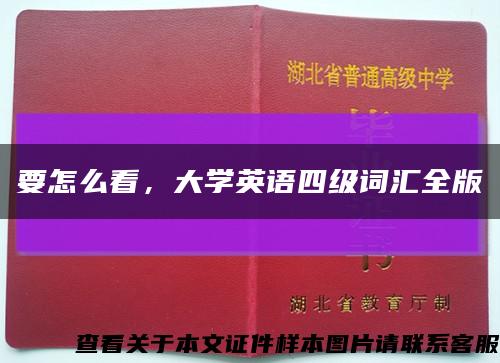 要怎么看，大學英語四級詞匯全版縮略圖
