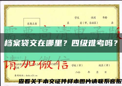 檔案袋交在哪里？四級難考嗎？縮略圖