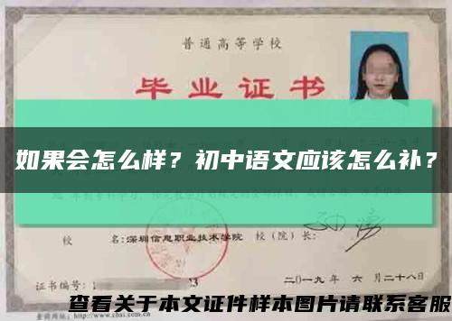 如果會怎么樣？初中語文應該怎么補？縮略圖