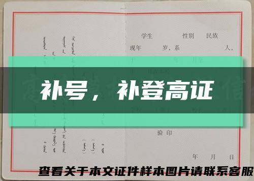 補號，補登高證縮略圖