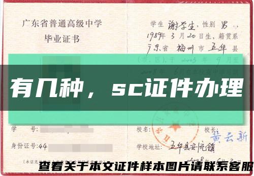 有幾種，sc證件辦理縮略圖