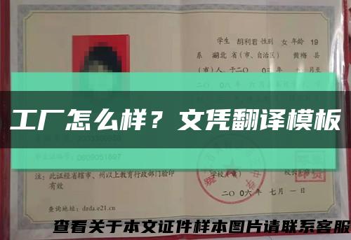 工廠怎么樣？文憑翻譯模板縮略圖