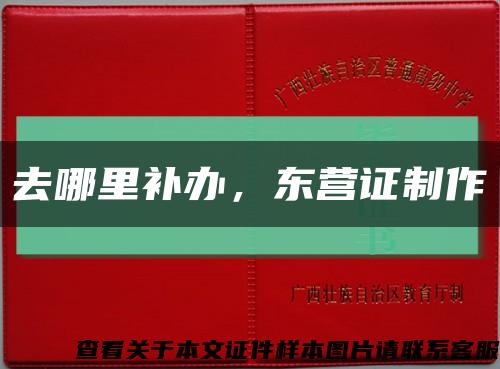 去哪里補辦，東營證制作縮略圖