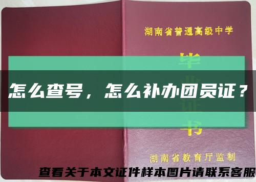 怎么查號，怎么補辦團員證？縮略圖
