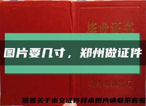 圖片要幾寸，鄭州做證件縮略圖