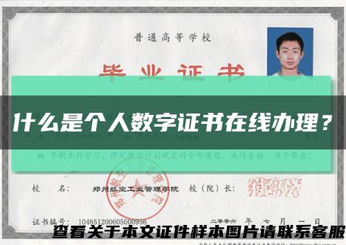 什么是個人數字證書在線辦理？縮略圖