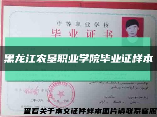 黑龍江農墾職業學院畢業證樣本縮略圖