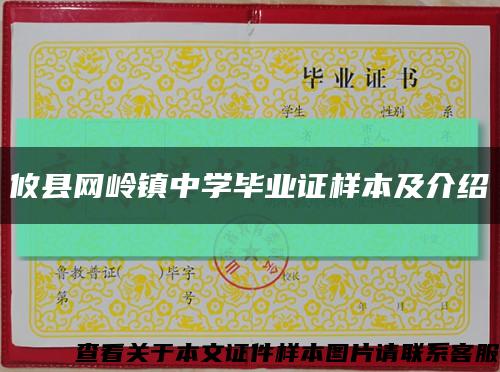 攸縣網嶺鎮中學畢業證樣本及介紹縮略圖