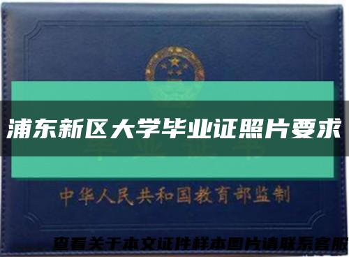 浦東新區大學畢業證照片要求縮略圖