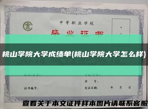 桃山學院大學成績單(桃山學院大學怎么樣)縮略圖