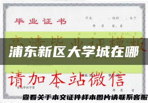 浦東新區大學城在哪縮略圖