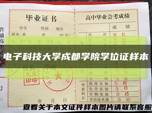 電子科技大學成都學院學位證樣本縮略圖