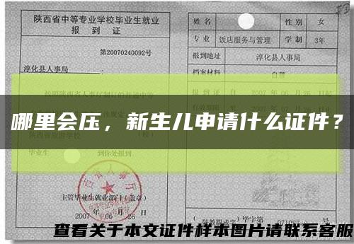 哪里會壓，新生兒申請什么證件？縮略圖