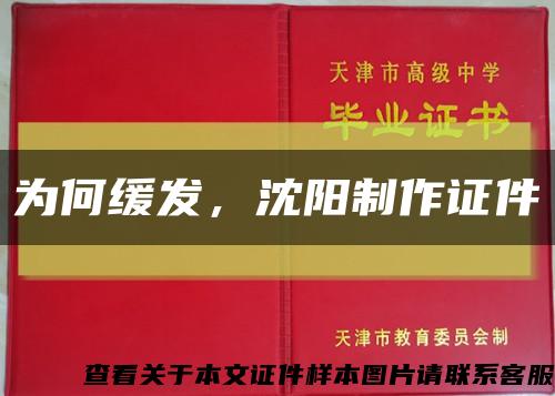 為何緩發，沈陽制作證件縮略圖
