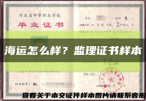 海運怎么樣？監理證書樣本縮略圖