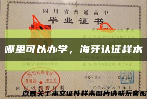 哪里可以辦學，海牙認證樣本縮略圖