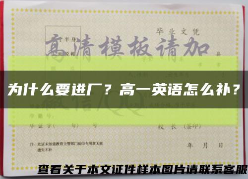 為什么要進廠？高一英語怎么補？縮略圖
