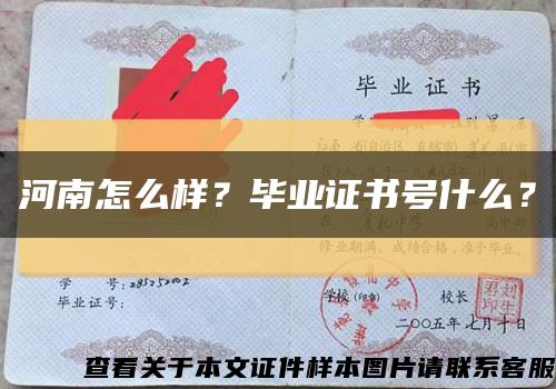 河南怎么樣？畢業證書號什么？縮略圖