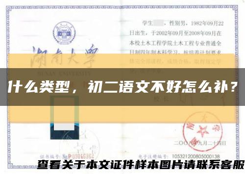 什么類型，初二語文不好怎么補？縮略圖