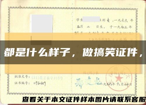 都是什么樣子，做搞笑證件，縮略圖