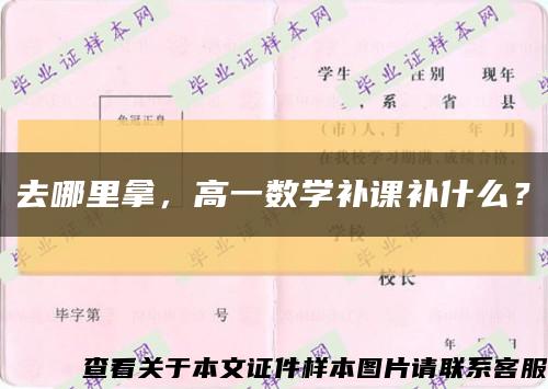 去哪里拿，高一數學補課補什么？縮略圖