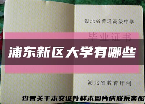 浦東新區大學有哪些縮略圖