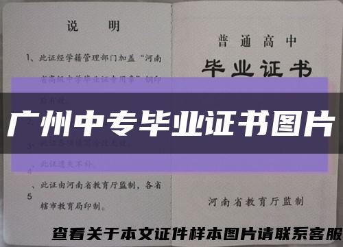 廣州中專畢業證書圖片縮略圖