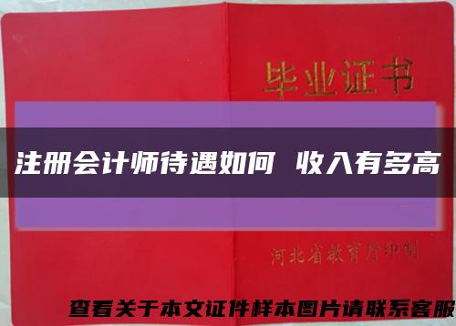 注冊會計師待遇如何 收入有多高縮略圖