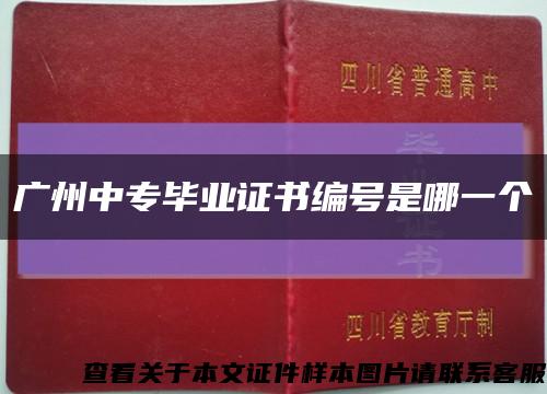 廣州中專畢業證書編號是哪一個縮略圖