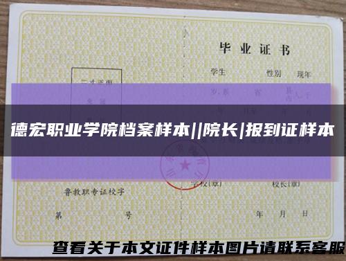 德宏職業學院檔案樣本||院長|報到證樣本縮略圖