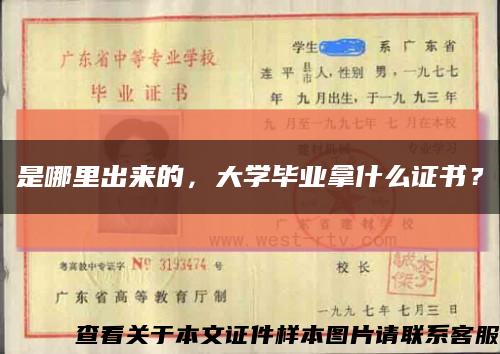 是哪里出來的，大學畢業拿什么證書？縮略圖