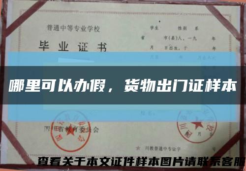哪里可以辦假，貨物出門證樣本縮略圖