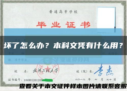 壞了怎么辦？本科文憑有什么用？縮略圖