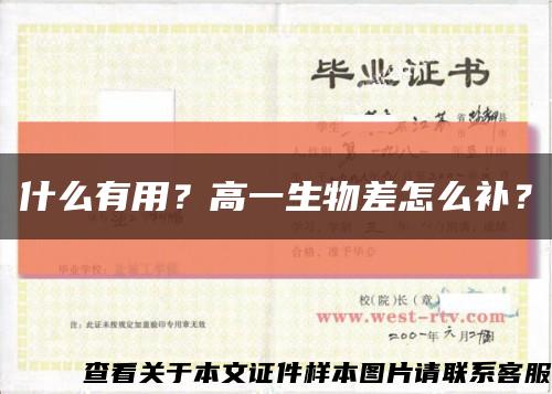 什么有用？高一生物差怎么補？縮略圖