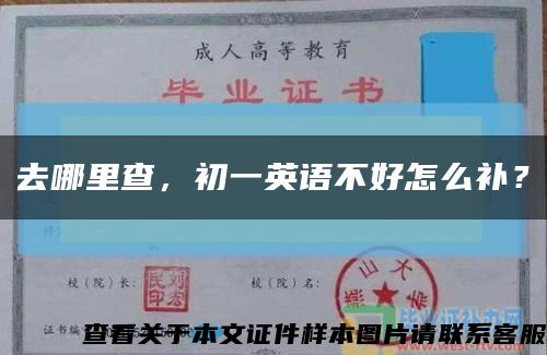 去哪里查，初一英語不好怎么補？縮略圖