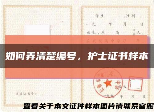 如何弄清楚編號，護士證書樣本縮略圖