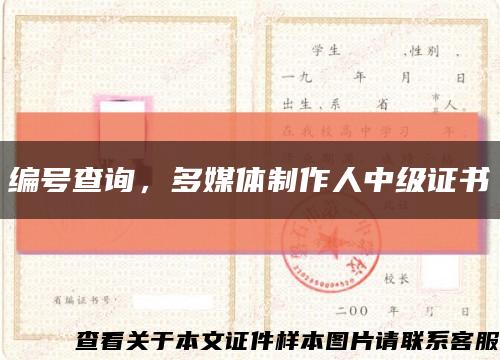 編號查詢，多媒體制作人中級證書縮略圖