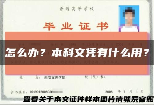 怎么辦？本科文憑有什么用？縮略圖