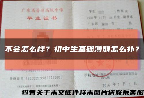 不會怎么樣？初中生基礎薄弱怎么補？縮略圖