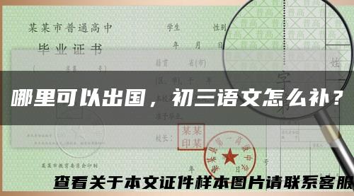 哪里可以出國，初三語文怎么補？縮略圖